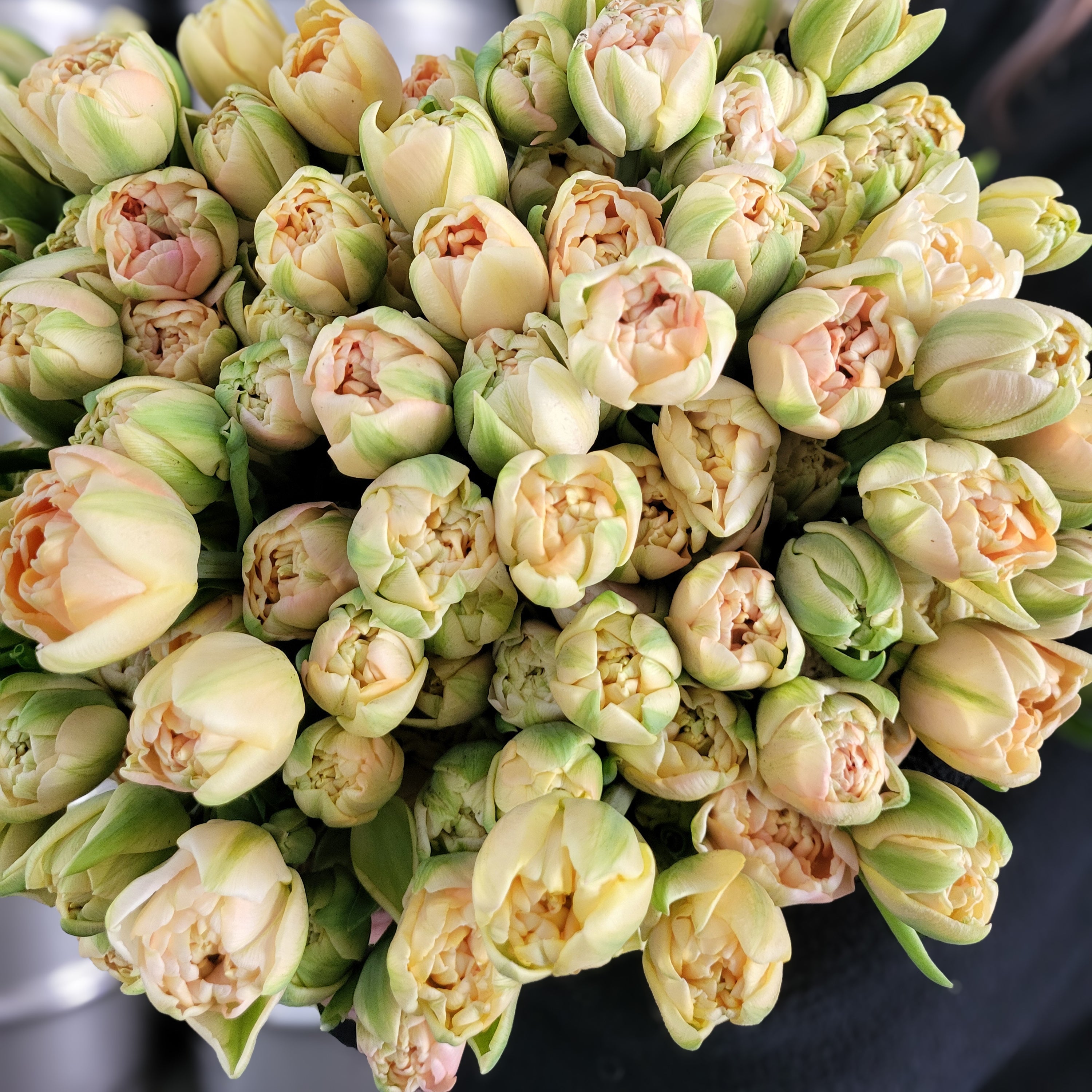 Fleurs