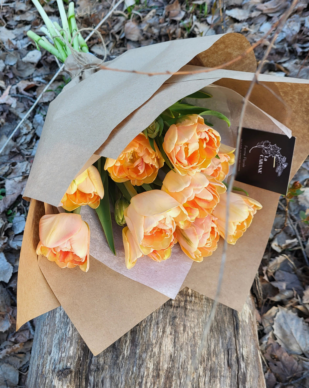 Bouquet de tulipes ! (Campagne de financement)