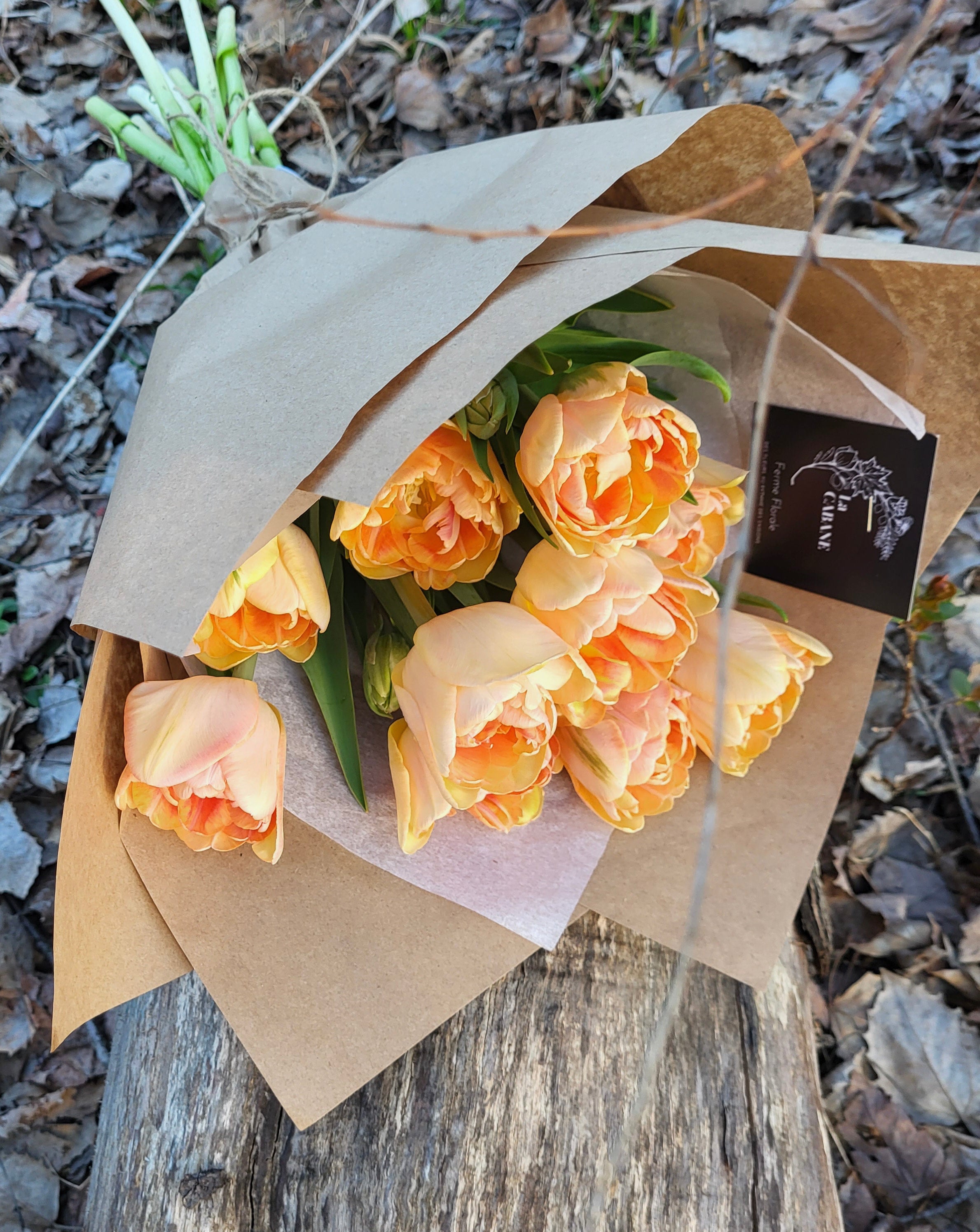 Bouquet de tulipes ! (Campagne de financement)