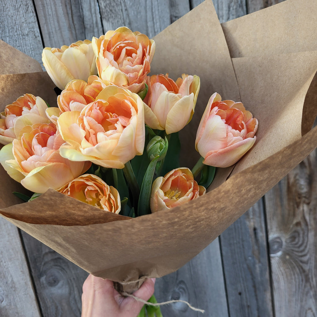 Bouquet de tulipes ! (Campagne de financement)